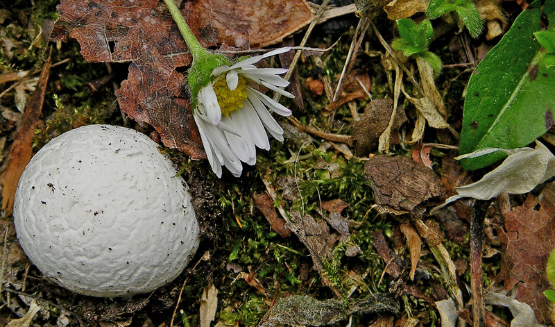 Ritrovamenti di oggi 8 maggio.